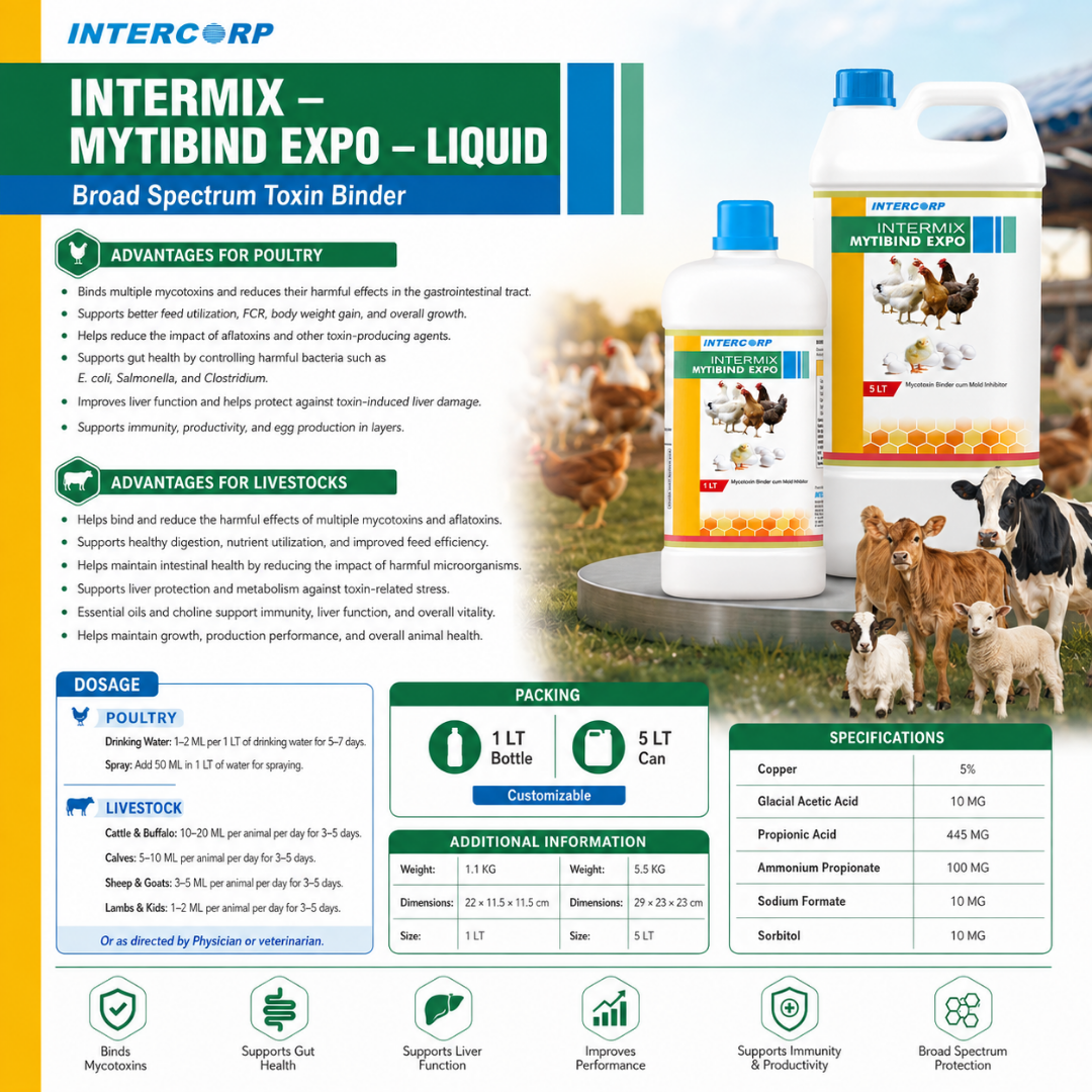 INTERMIX - MYTIBIND EXPO - BROCHURE IMAGE
