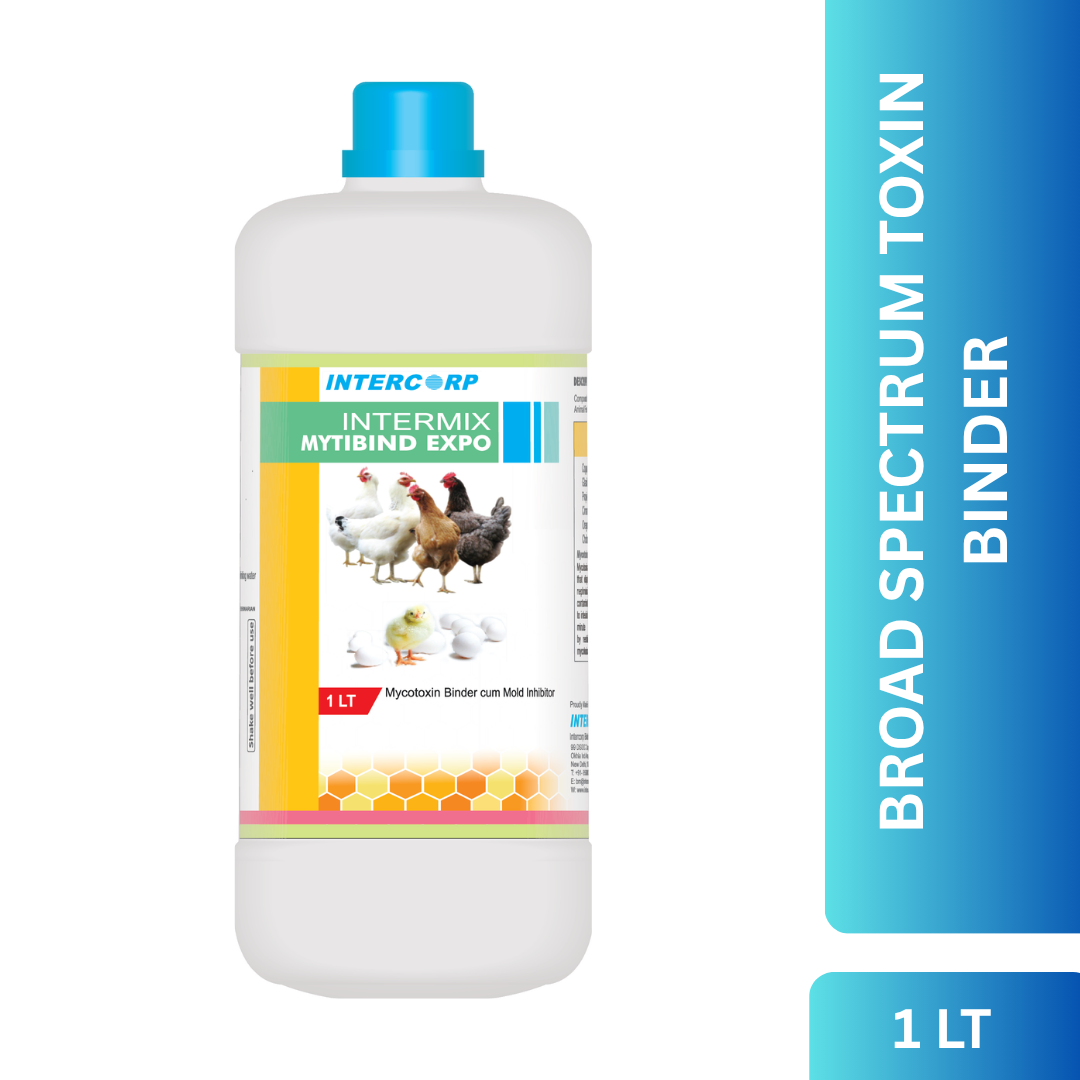 INTERMIX - MYTIBIND EXPO - PRODUCT IMAGE 1 LT