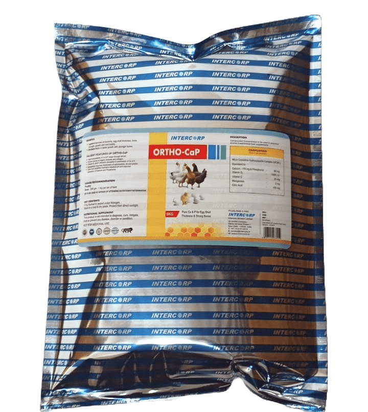 INTERMIX - ORTHOCAP - 5 KG POUCH - POWDER