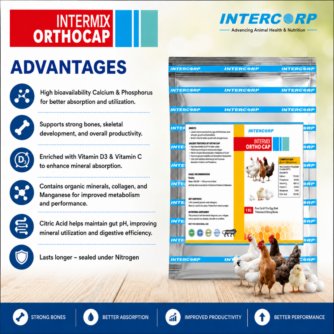 INTERMIX - ORTHOCAP - ADVANTAGES