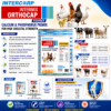 INTERMIX - ORTHOCAP - BROCHURE