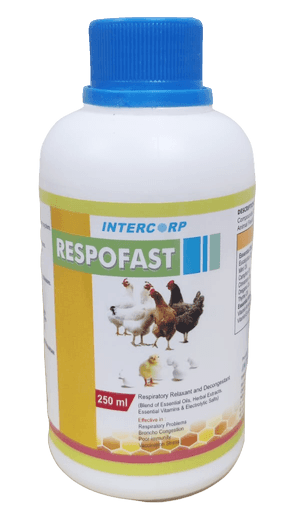 INTERMIX - RESPOFAST - 100 ML BOTTLE - LIQUID