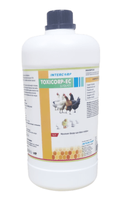 INTERMIX - TOXICORP EC - 1 LT BOTTLE - LIQUID