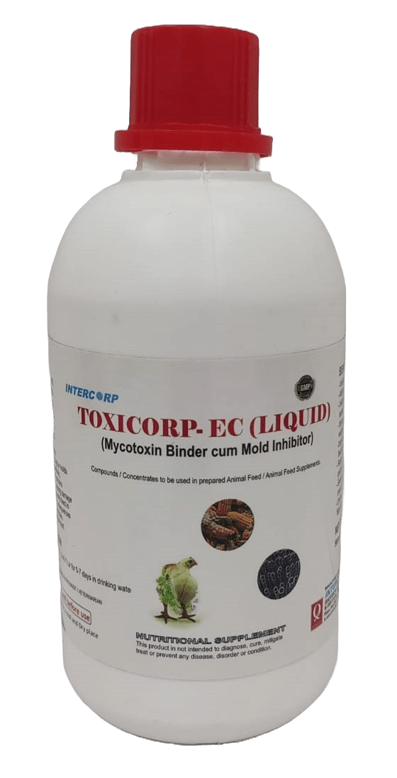INTERMIX - TOXICORP EC - 500 ML BOTTLE - LIQUID