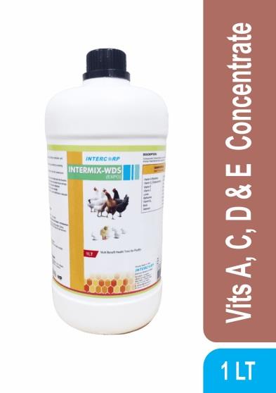 INTERMIX - WDS (EXPO) - 1 LT BOTTLE - LIQUID - 2