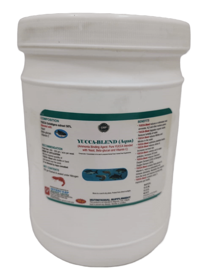 INTERMIX - YUCCA-BLEND (AQUA) 1 KG JAR - POWDER