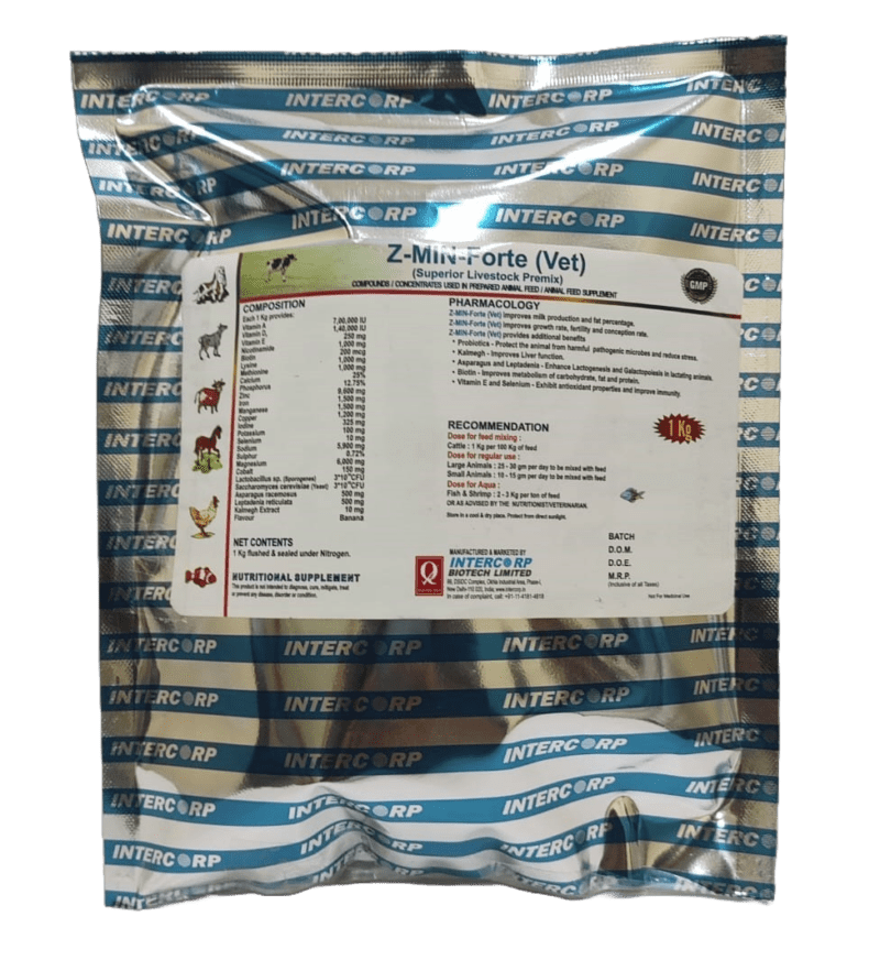 INTERMIX - ZMIN FORTE (VET) - 1 KG POUCH - POWDER