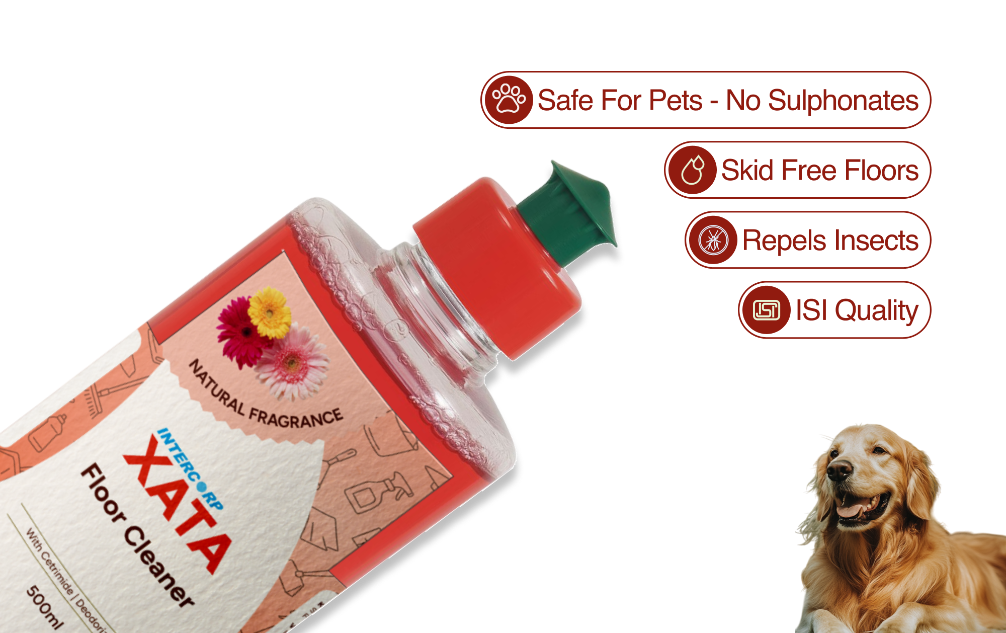 INTERCORP XATA Disinfectant Floor Cleaner, Poster