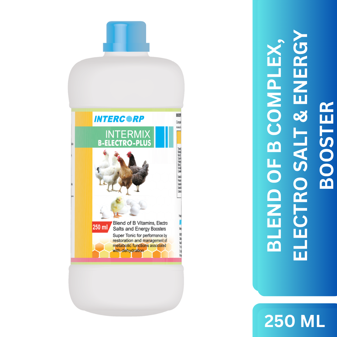 INTERMIX - B- ELECTROPLUS - PRODUCT IMAGE 250 ML