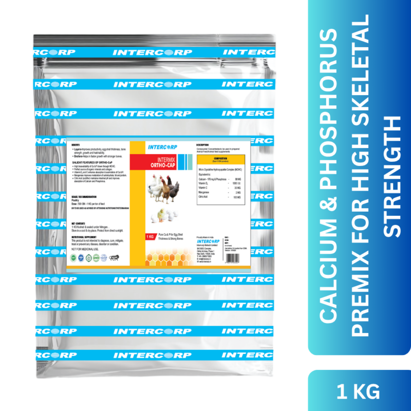INTERMIX - ORTHOCAP - PRODUCT IMAGE 1 KG