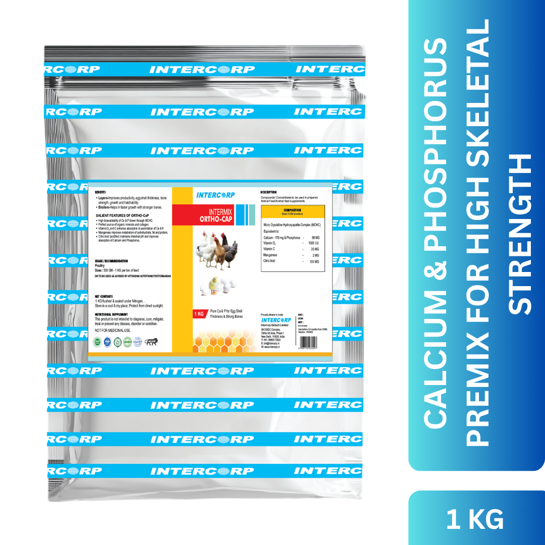 INTERMIX - ORTHOCAP - PRODUCT IMAGE 1 KG