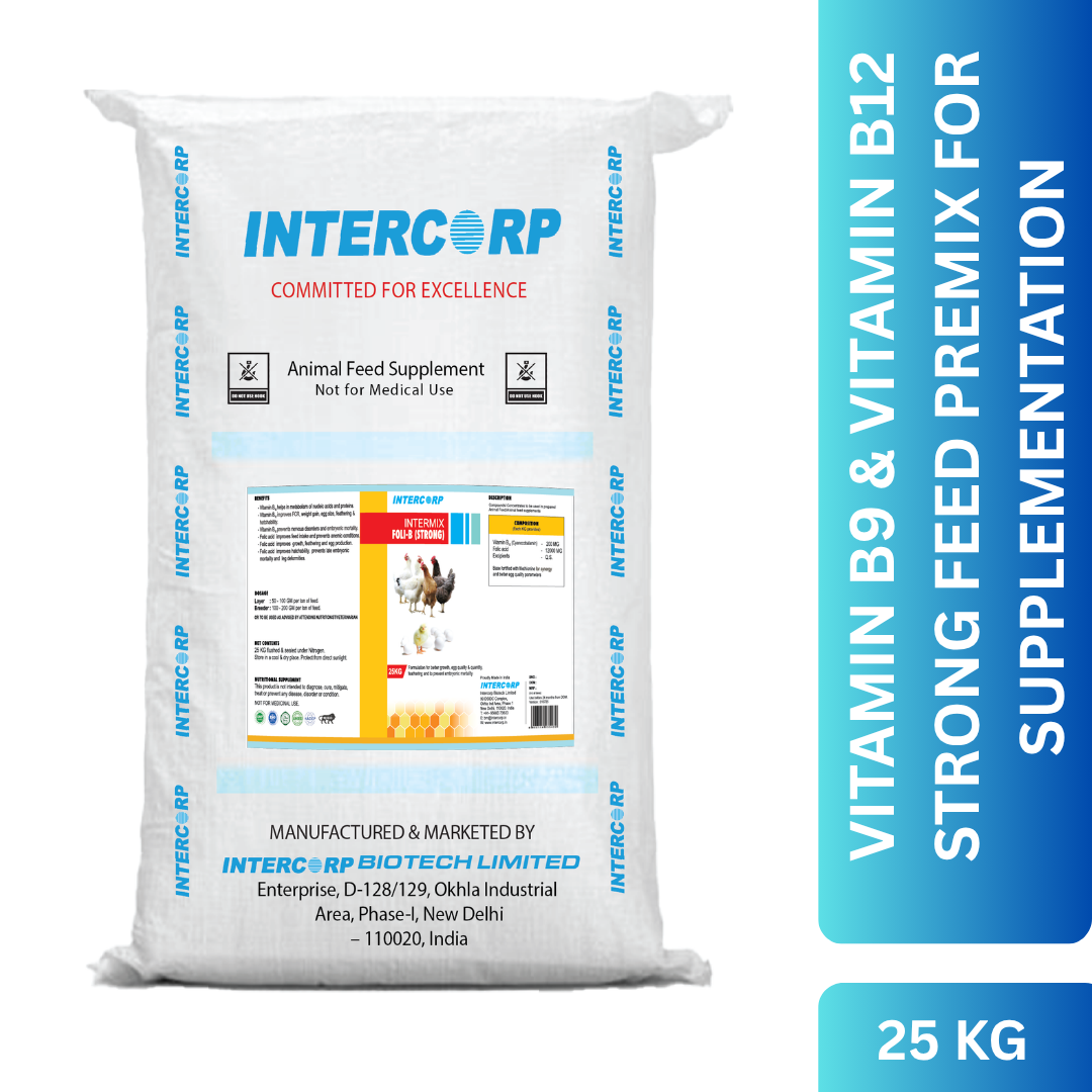 INTERMIX - FOLI-B STRONG - PRODUCT IMAGE