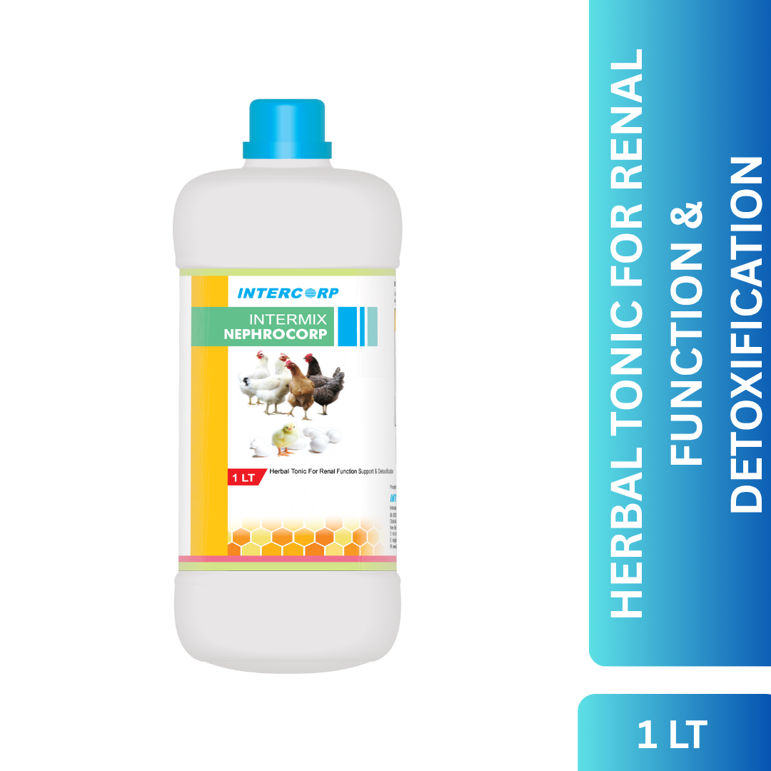 INTERMIX - NEPHROCORP - PRODUCT IMAGE 1 LT