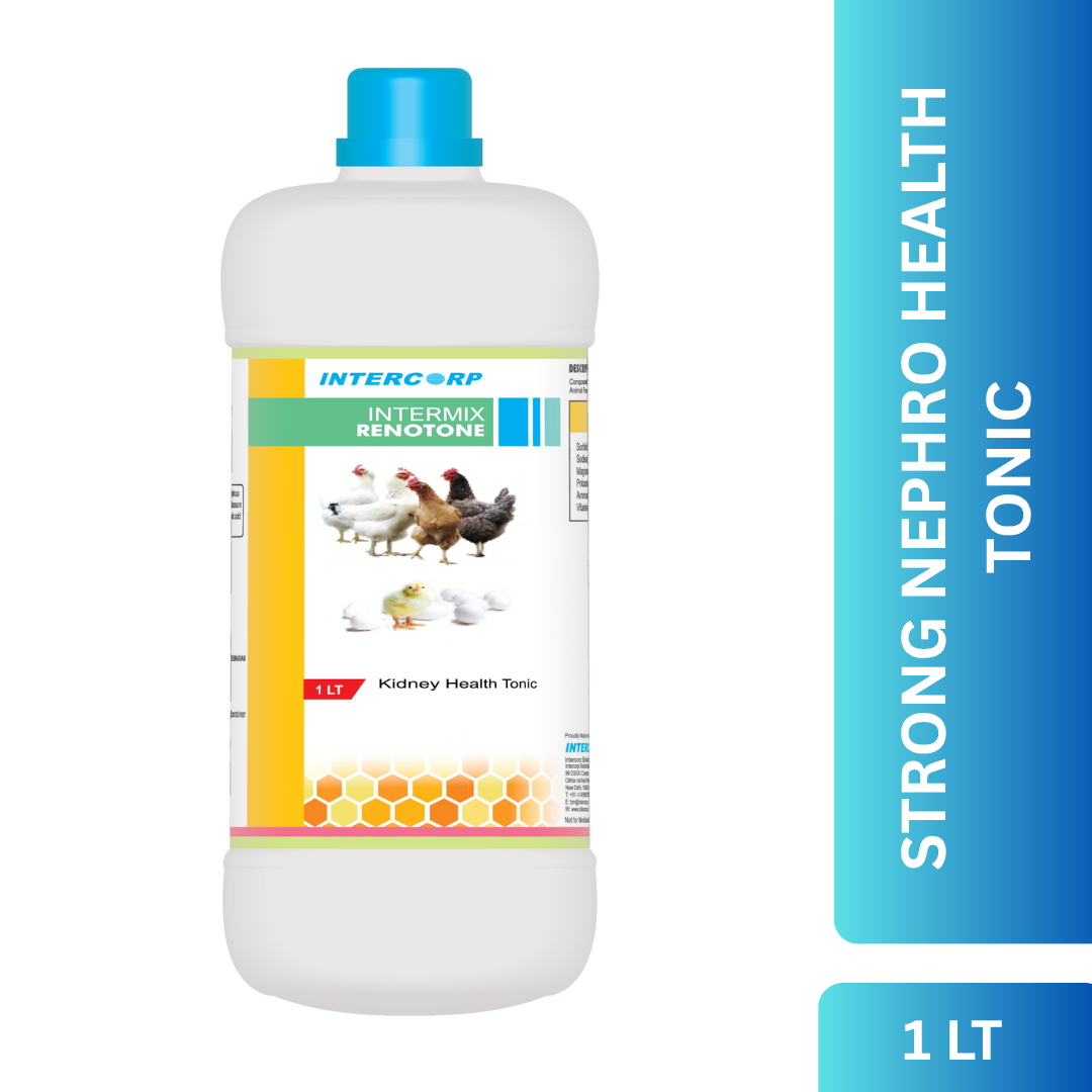 INTERMIX - RENOTONE - PRODUCT IMAGE 1 LT