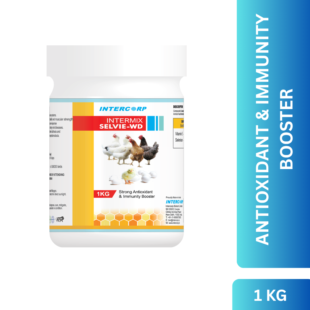 INTERMIX - SELVIE -WD PRODUCT IMAGE 1 KG