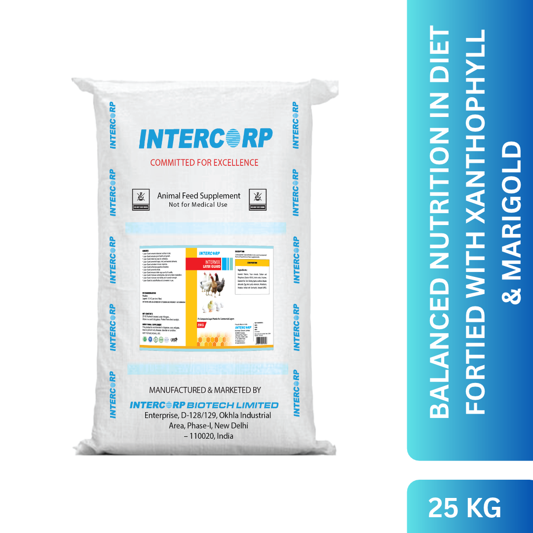 INTERMIX - LAYERGUARD - 25 KG